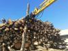 MB CRUSHER MB-G450 S4 Foto 3 thumbnail